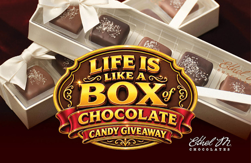 LifeIsLikeABoxOfChocolate_500x325 https://www.northernedgecasino.com/wp-content/uploads/2026/10/LifeIsLikeABoxOfChocolate_500x325.jpg